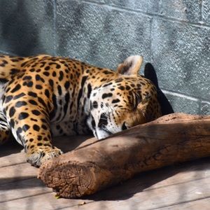 Meet your Posher, Alejandro